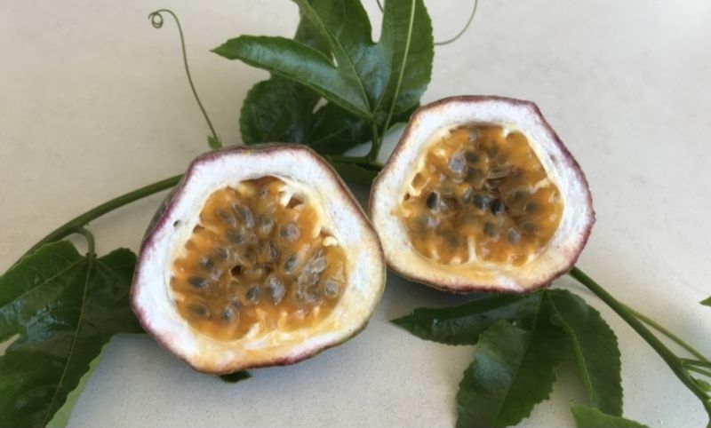 Passionfruit Vine - Grafted (SweetHeart)