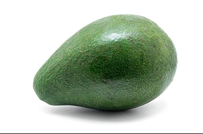 Avocado Grafted - (Fuerte) 60-80cm (B)