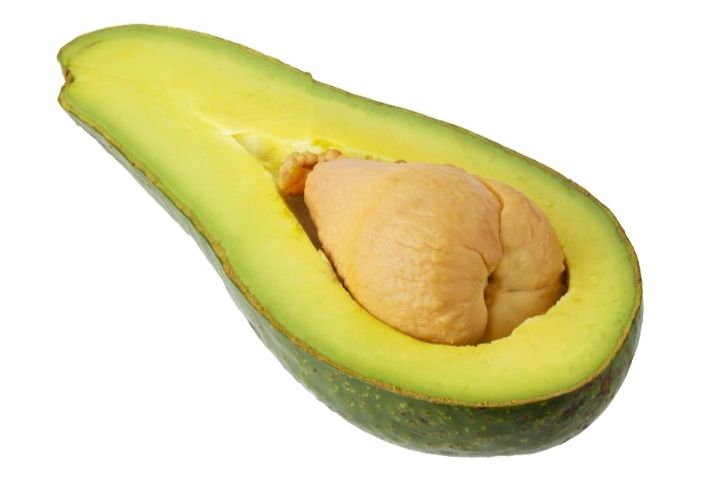 Avocado Grafted - (Choquette) 60-80cm (A)