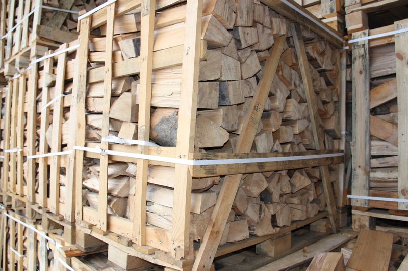 Kaminholz - Buchenholz - 1 rm - Ofenholz - Brennholz