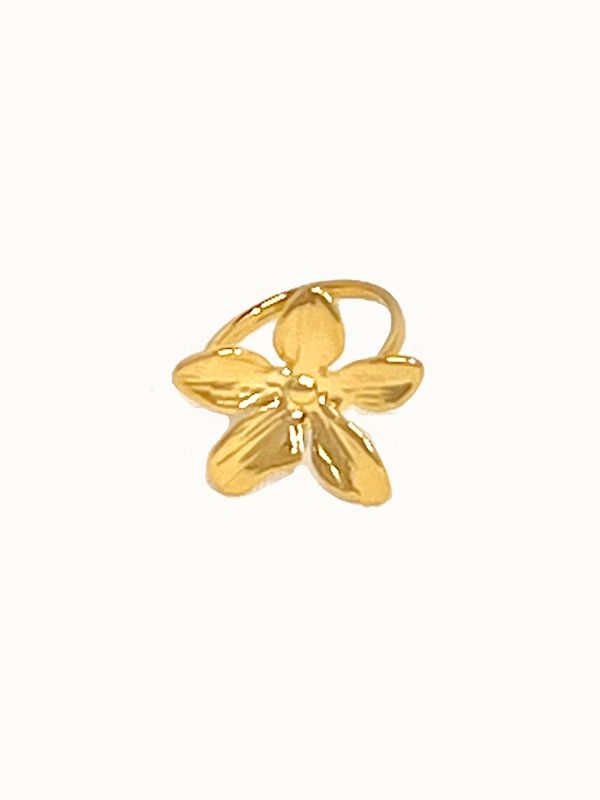 Bague ref. 15580