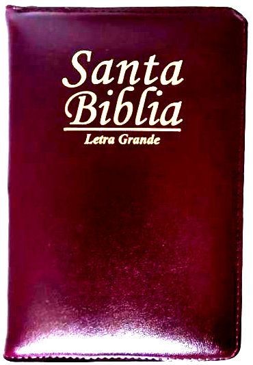 BIBLIA REINA-VALERA 1960 CON CONCORDANCIA