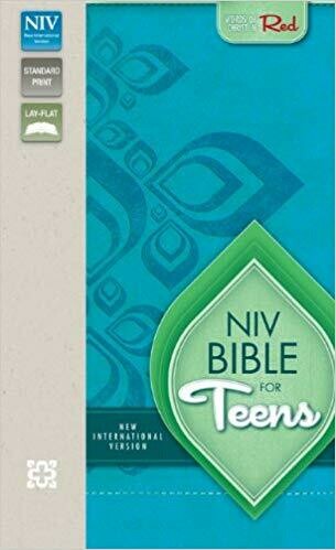 NIV BIBLE FOR TEENS