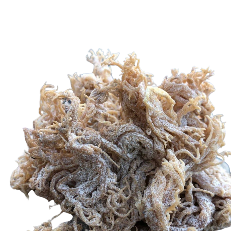 High Grade Seamoss/IrishMoss