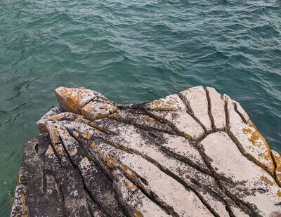 Observing Nature in Tobermory - Photograph by Omer Juma
