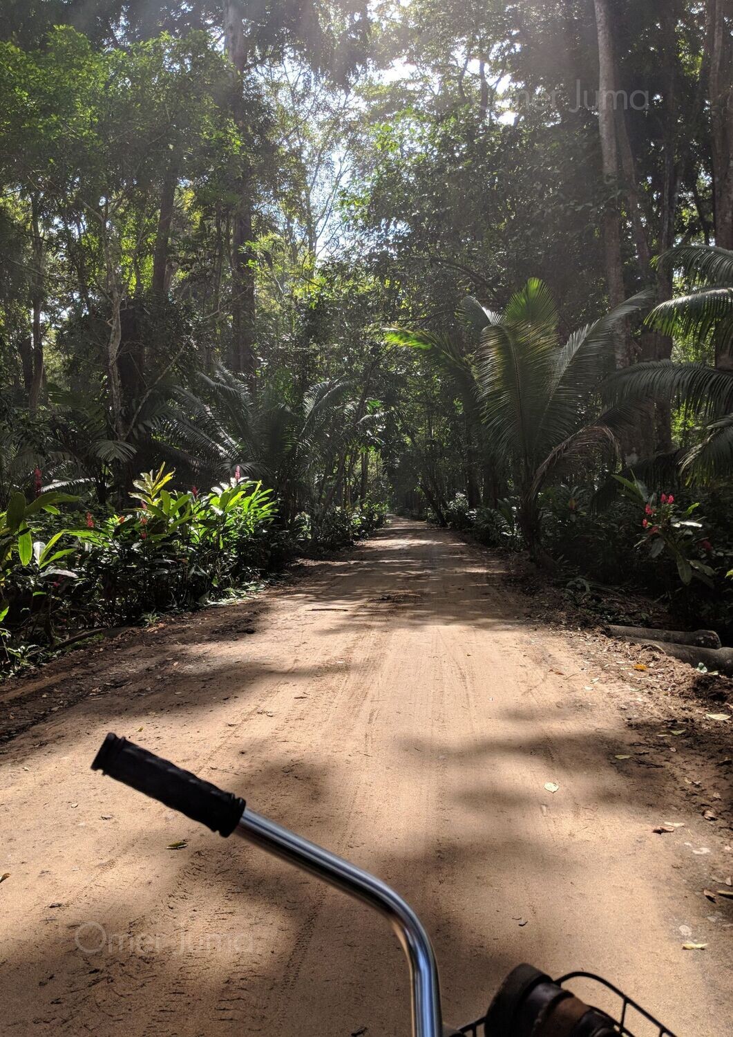 An Adventure Awaits (Cycling in Costa Rica) - Photograph by Omer Juma