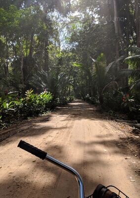 An Adventure Awaits (Cycling in Costa Rica) - Photograph by Omer Juma