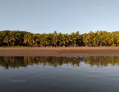 Palmeras in Sunset (Costa Rica) - Photograph by Omer Juma