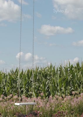 Swing- Photograph by Sylvia Xu