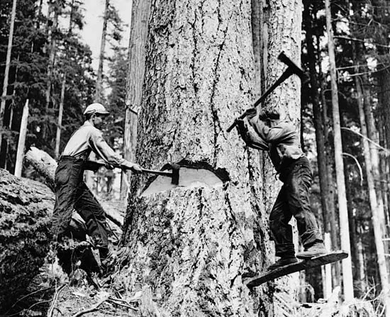 Lumbering