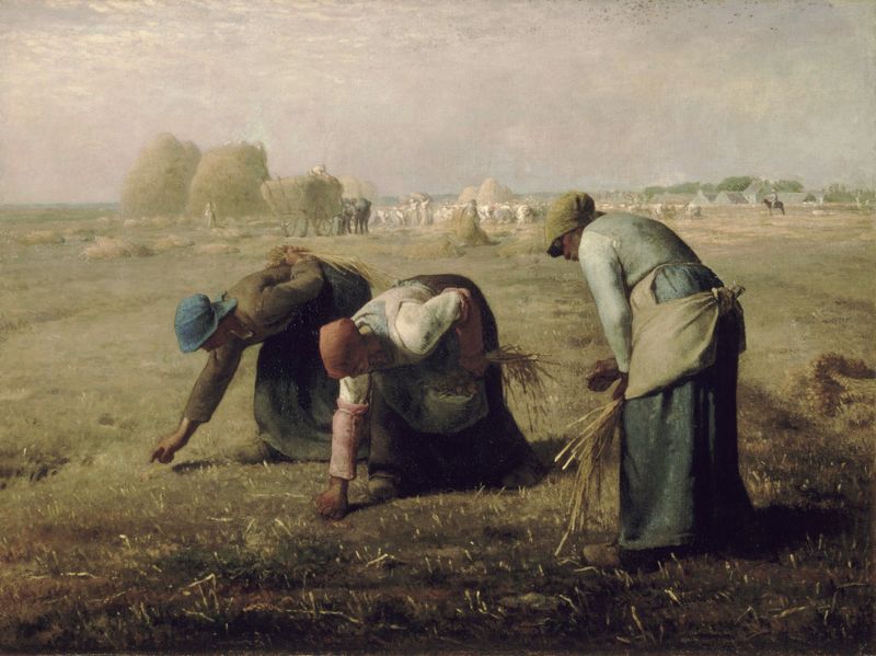 Gardening