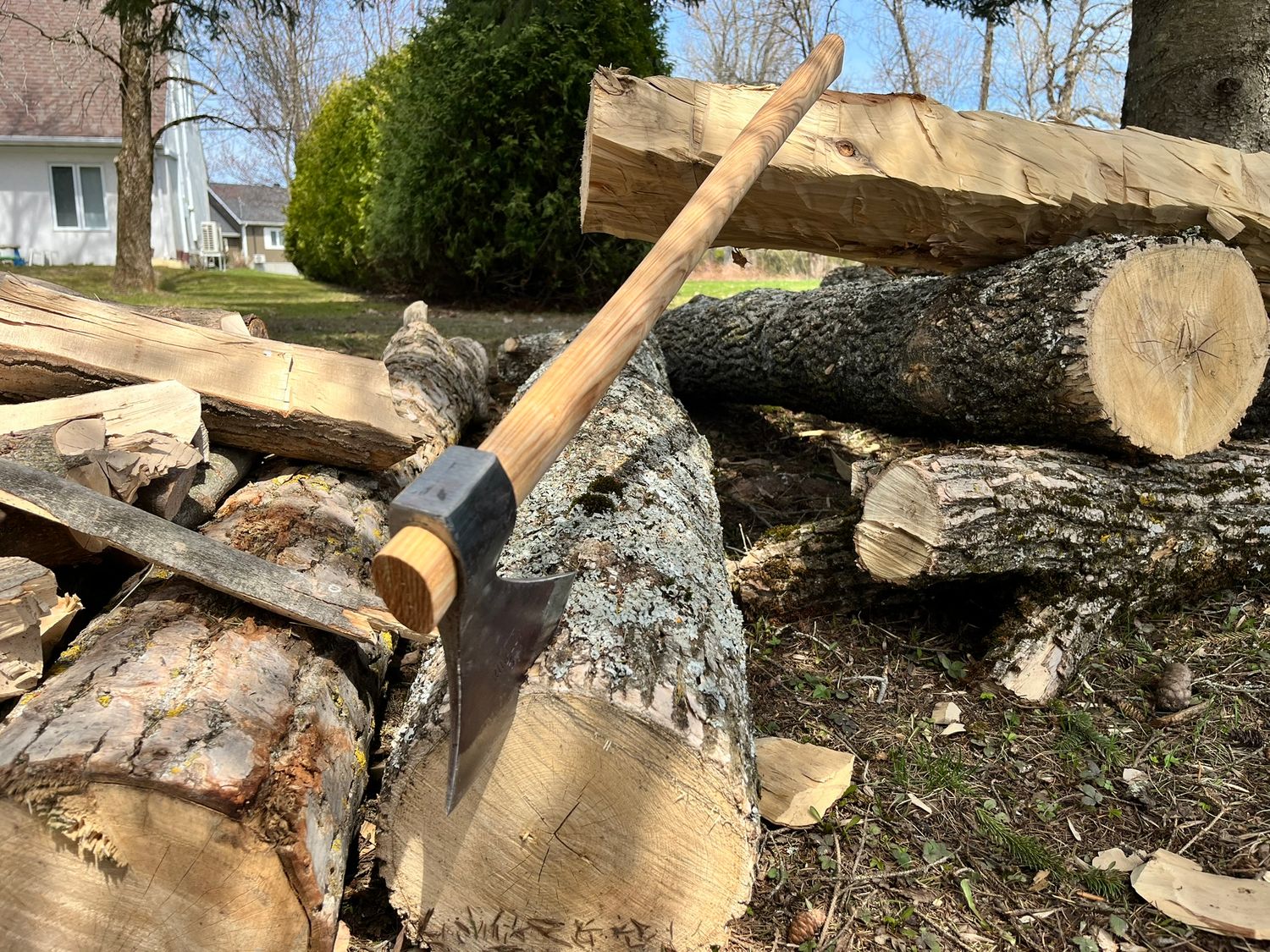Felling axe Rinaldi №307N3 - Trento model