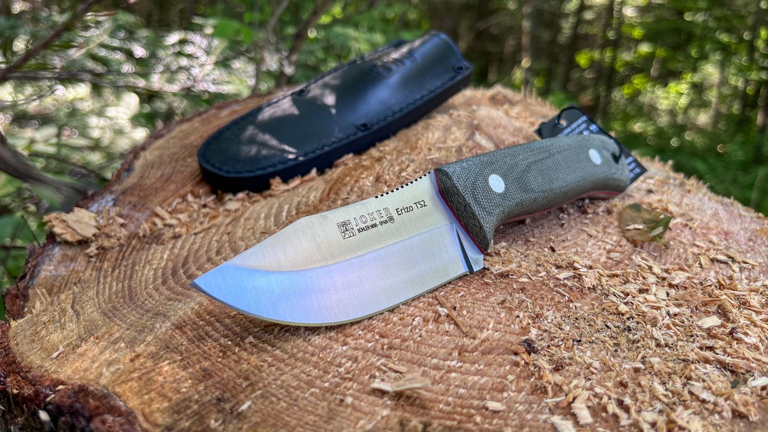 Survival knife CV142 Erizo TS2 - Cuchillería Joker