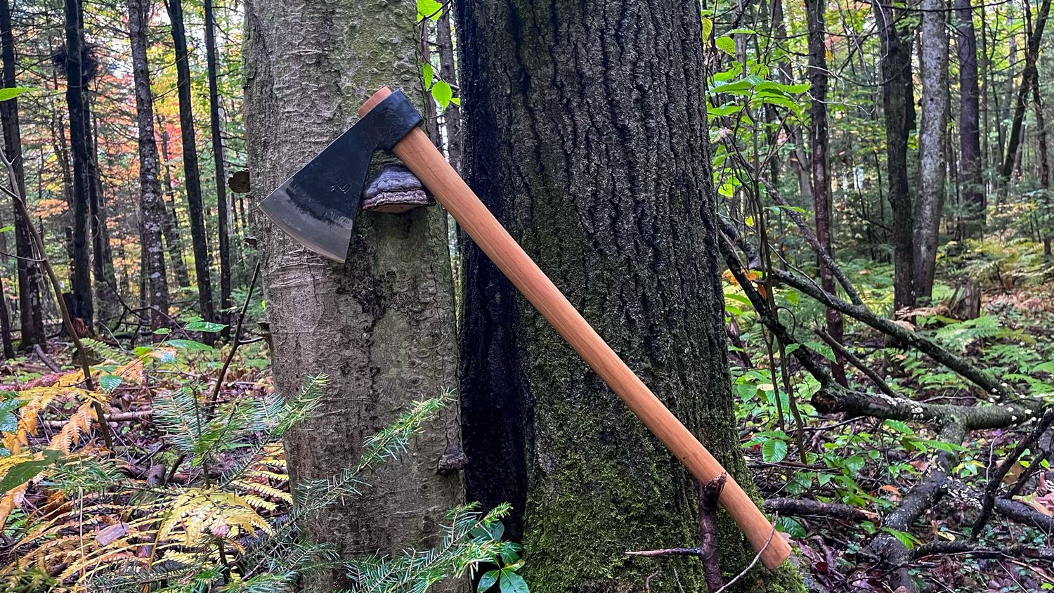 Rinaldi felling axe №302N4 1100g - America model (French trade axe)