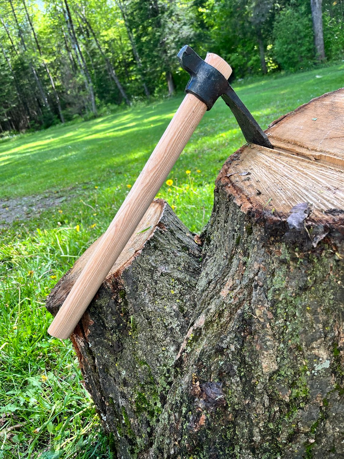 Small Hoe Rinaldi450g №509N1
