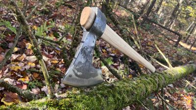 Bearded axe Rinaldi №306N4 - Barbuta model