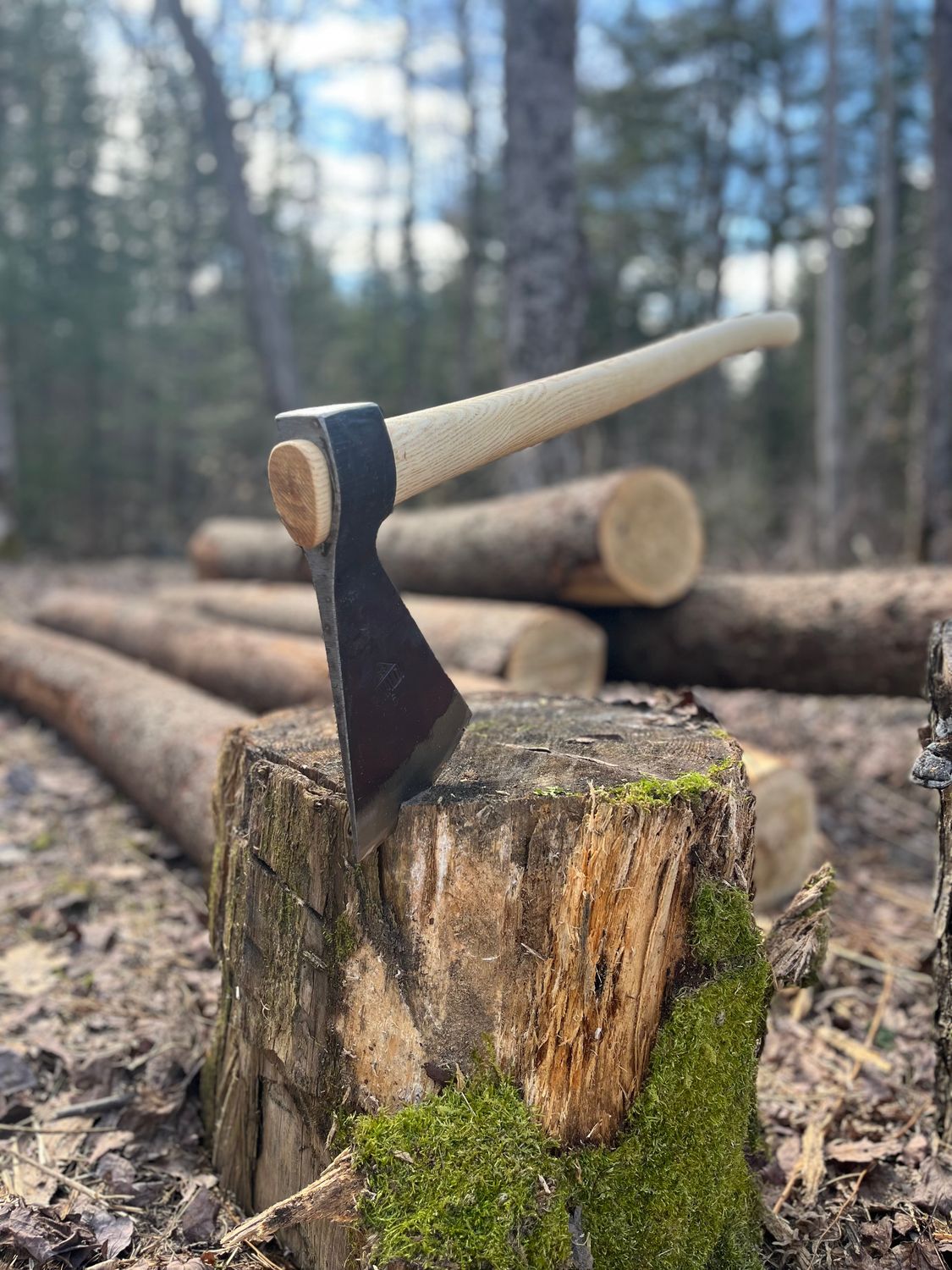 BR Rinaldi large Felling axe №302N6 1500g - America model