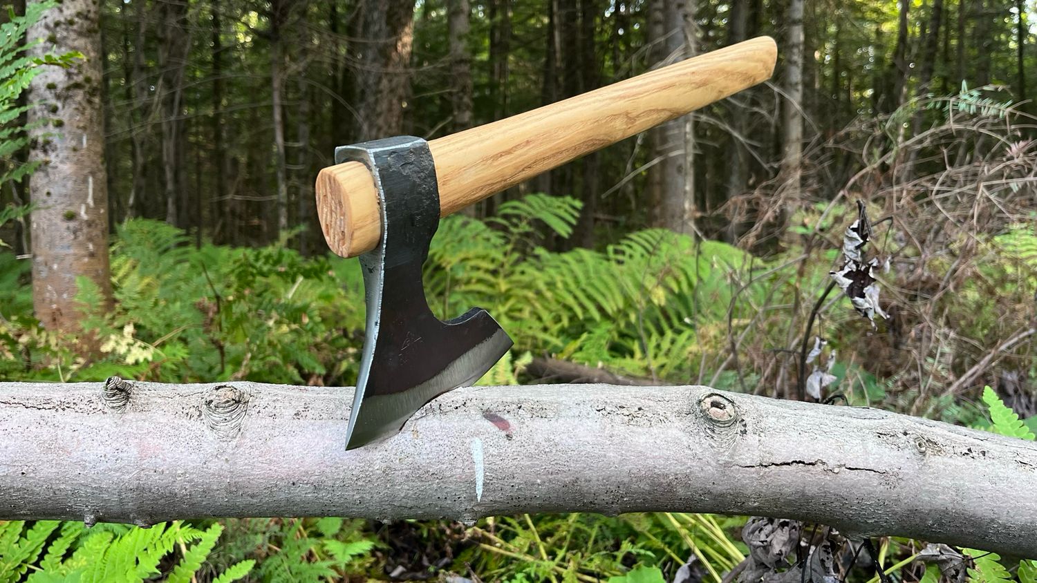 Bearded tomahawk Rinaldi №306N0 500g - Barbuta model