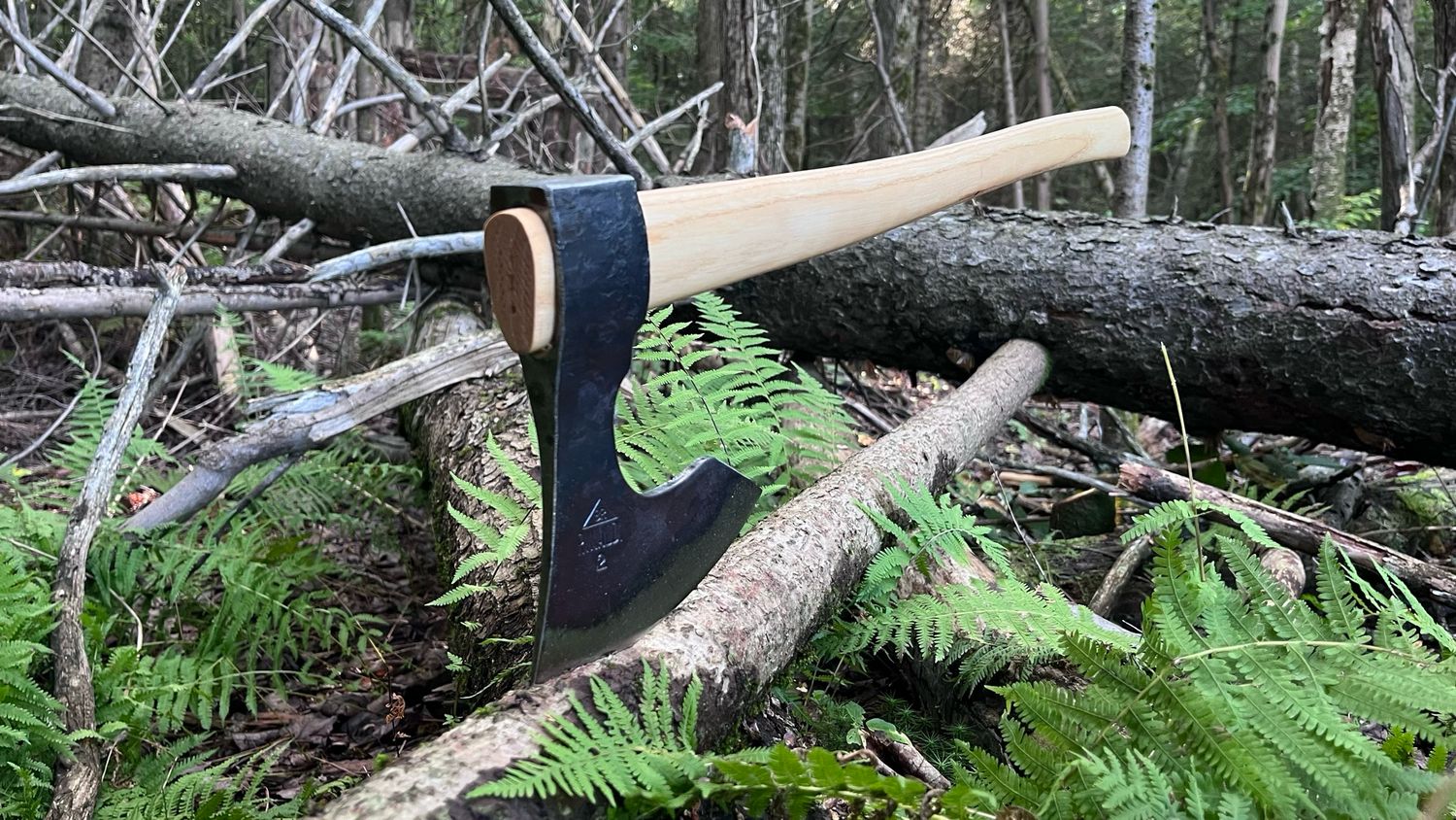 Bearded boy's axe Rinaldi №306N2 700g - Barbuta model