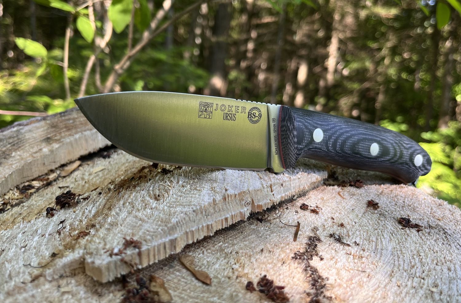 Camp knife URSUS CM116 - Cuchillería Joker