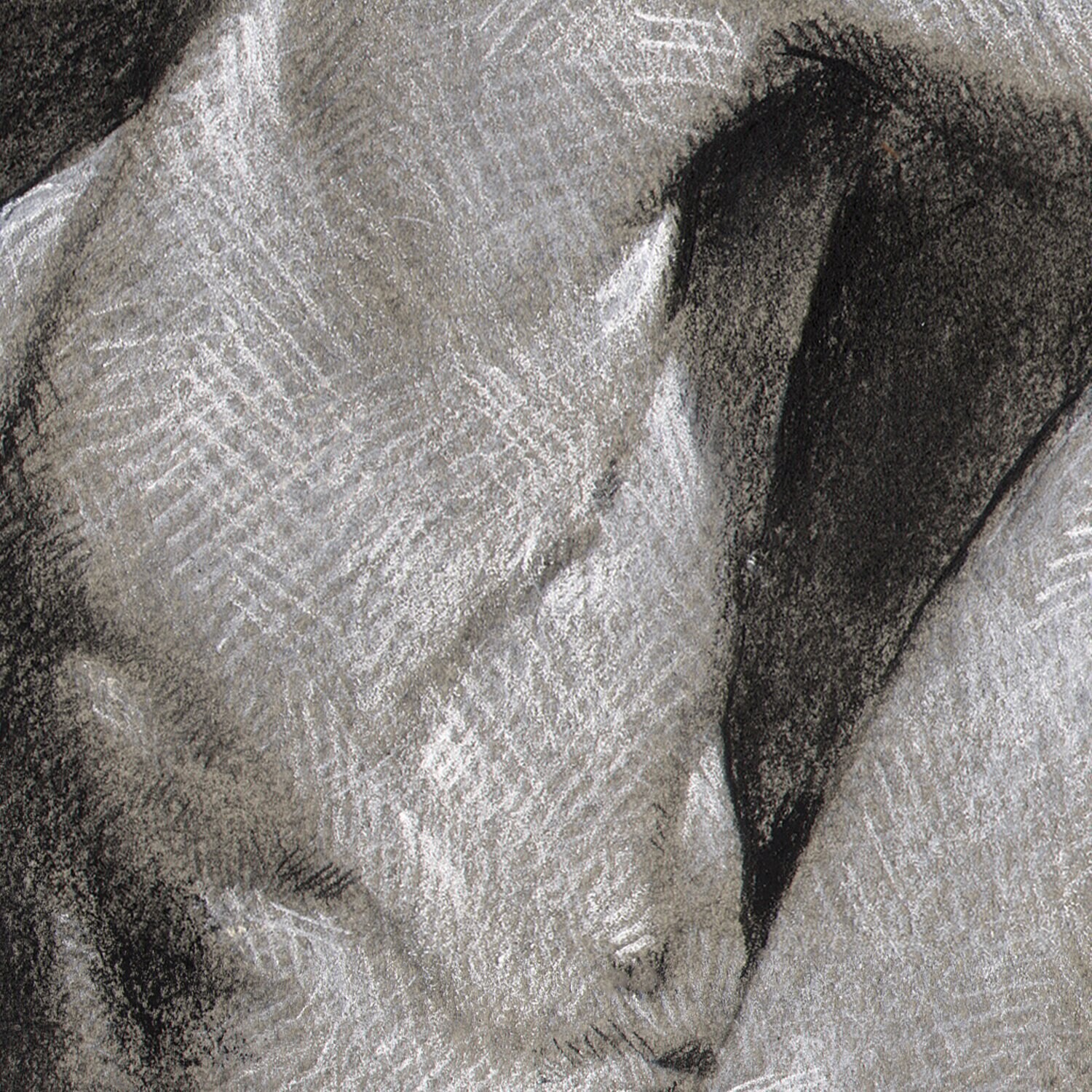 "Malaise" Original Charcoal Drawing | Framing Available