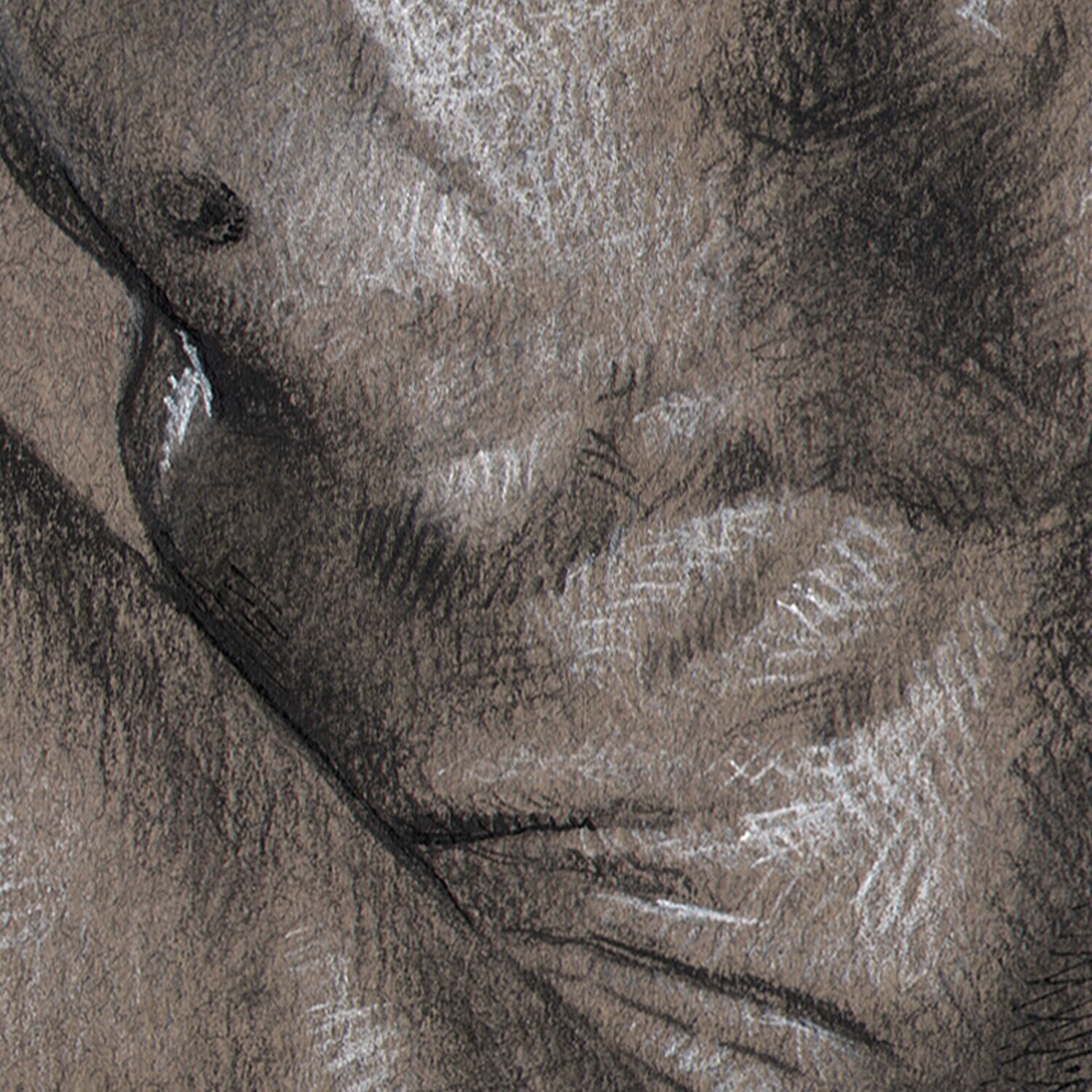 "Contained" Original Charcoal Drawing | Frame Option | Free Shipping Worldwide