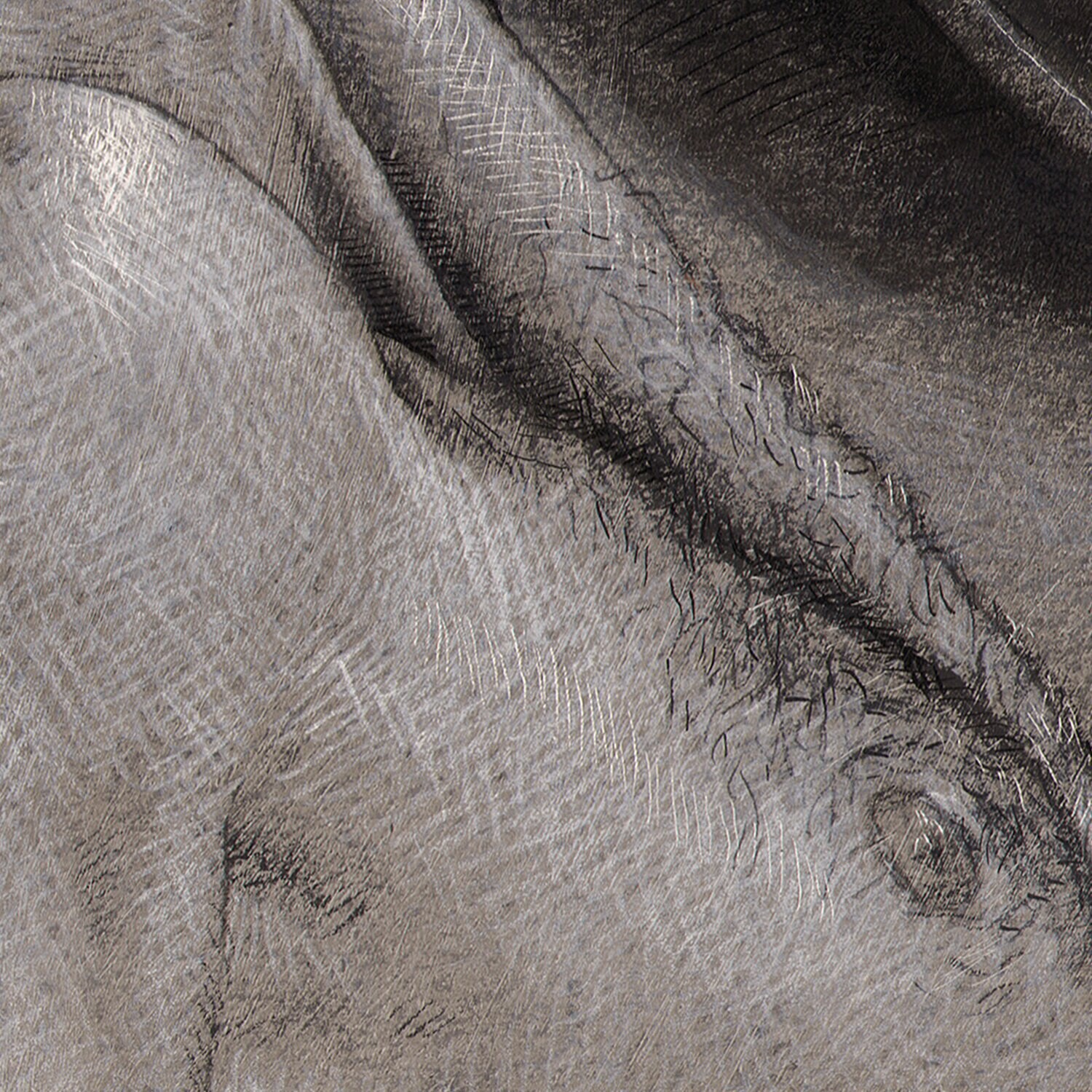 "Turn" Original Grisaille Work on Paper | Free Shipping Worldwide