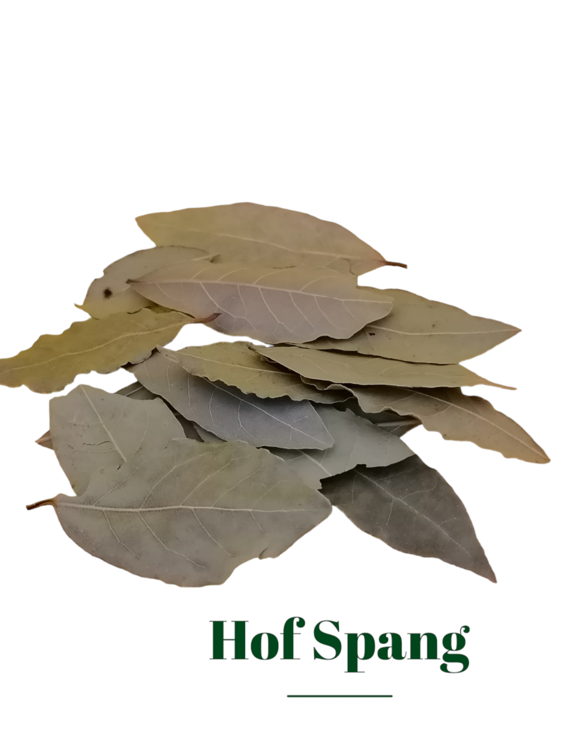 Lorbeerblätter ganz natur Semi Selekt 5 Stück