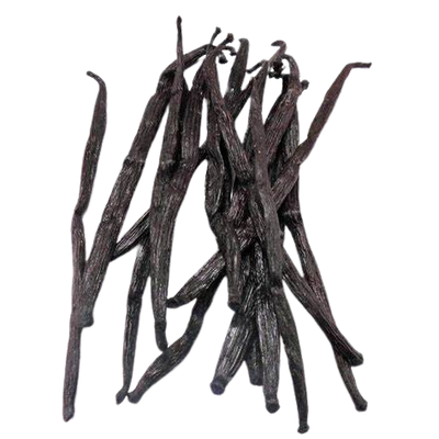 Vanilleschote Stück im Reagenzglas