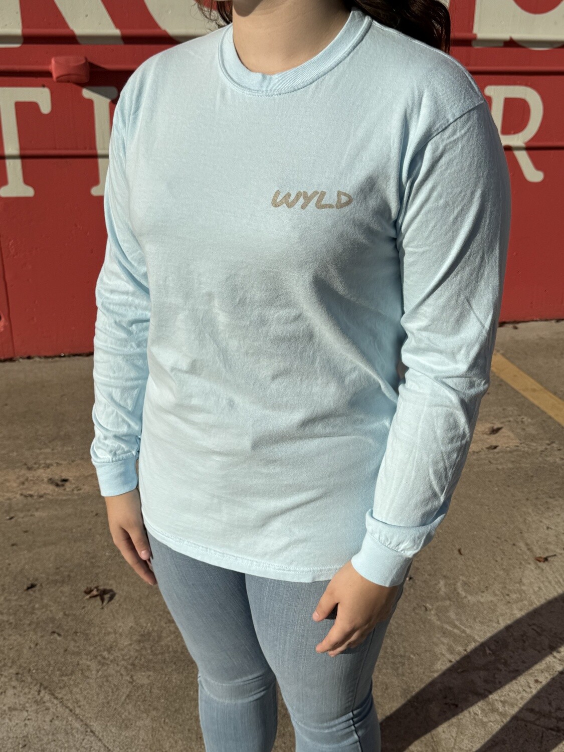 Chambray Long Sleeve