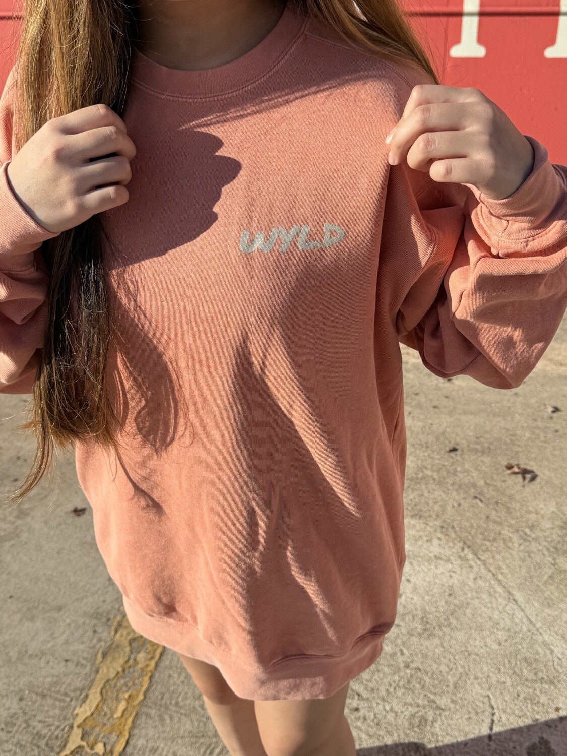 Terracotta Crewneck Sweatshirt