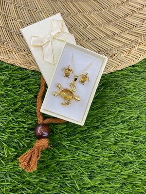 Conjunto Tortuga