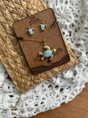 Conjunto Tortuga