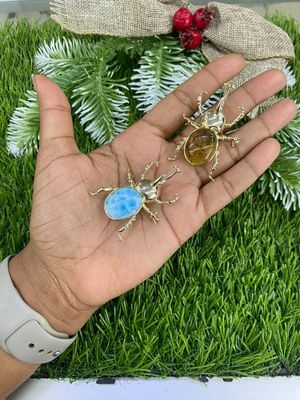 Broche de escarabajo 🪲