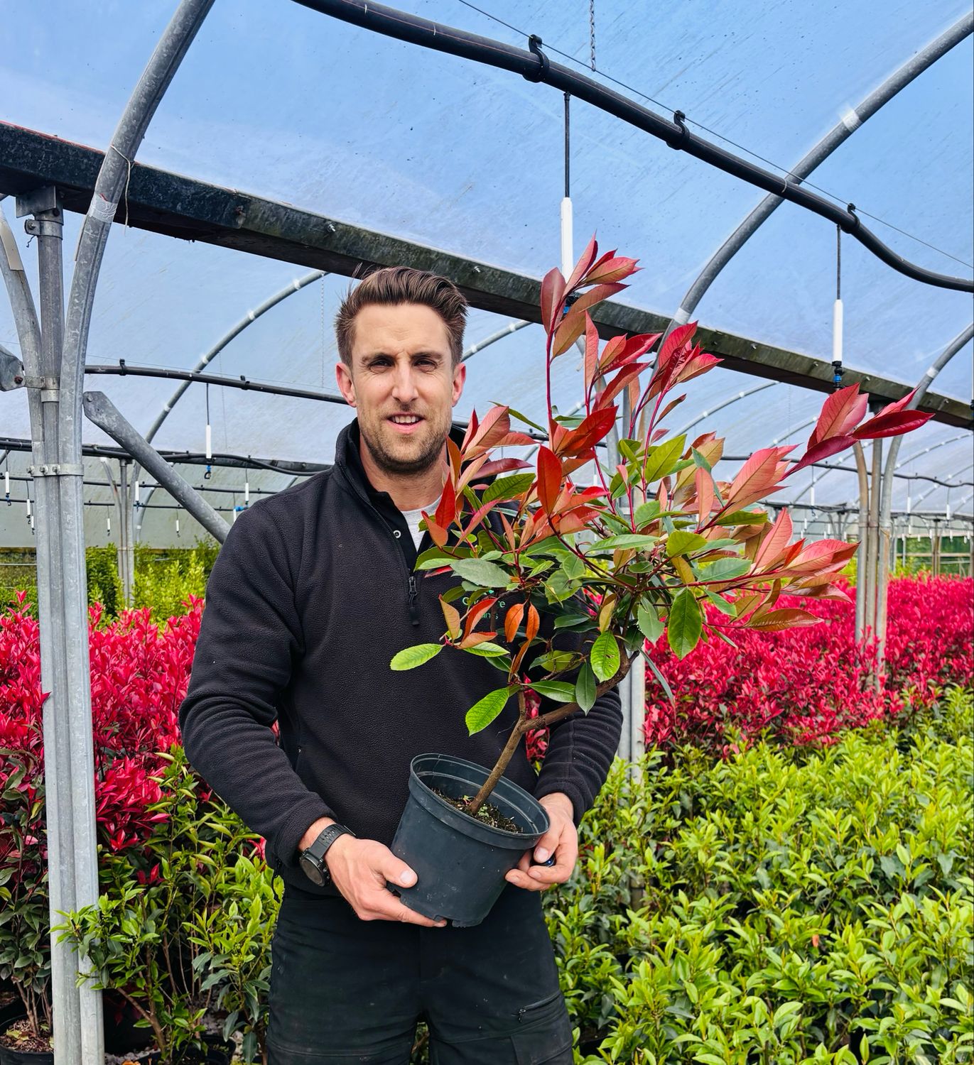 Cheshire Plants Online Shop