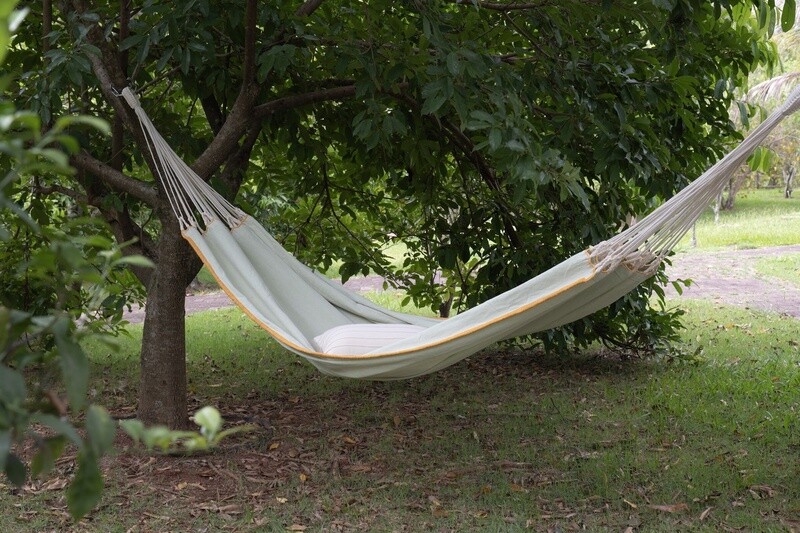 HAMMOCK MATCHA