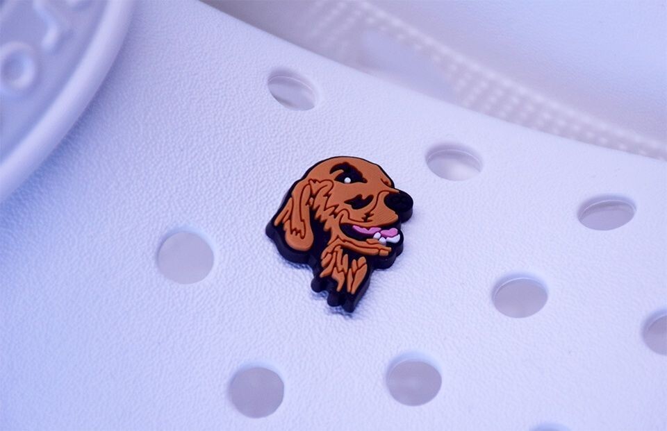 Doodle Shoe Charm