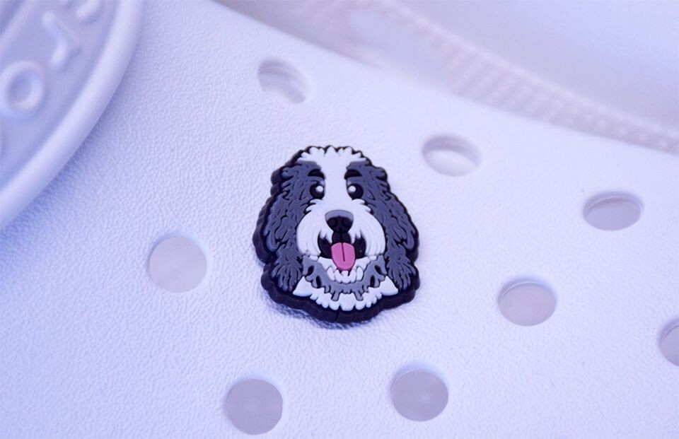SheepaDoodle Shoe Charm