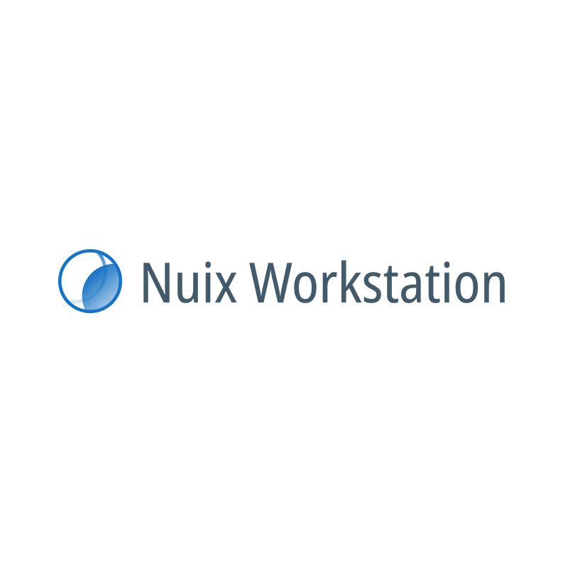 Nuix Workstation
