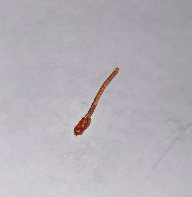 BY Bloodworm Lumina Copper