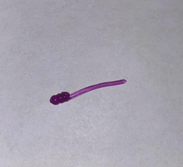 BY Bloodworm Purple
