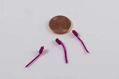 Bloodworm