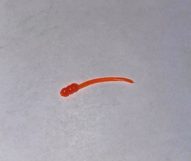 BY Bloodworm UV Fluorescent Orange
