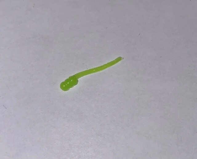 BY Bloodworm UV Fluorescent Green