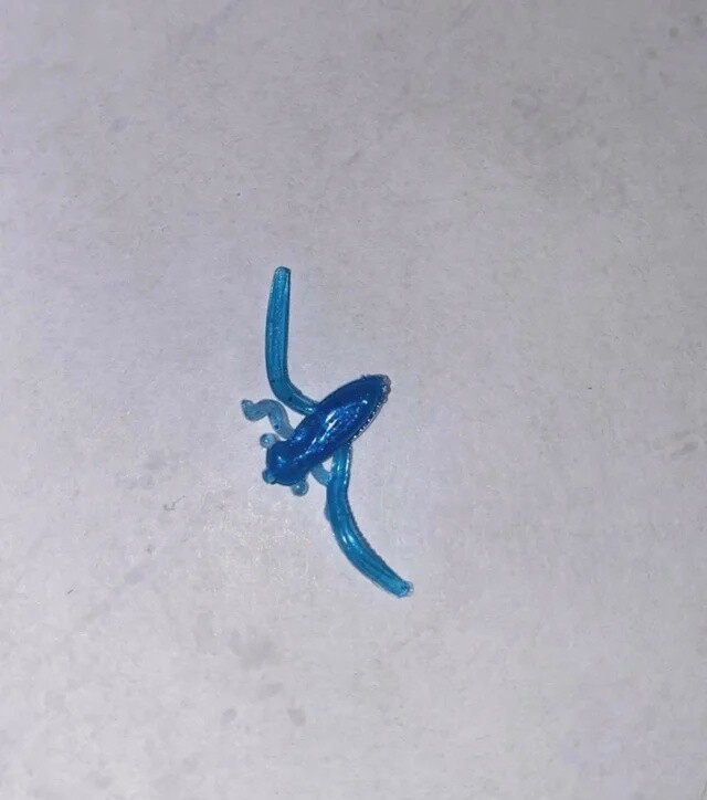BY Boatman Bug UV Blue