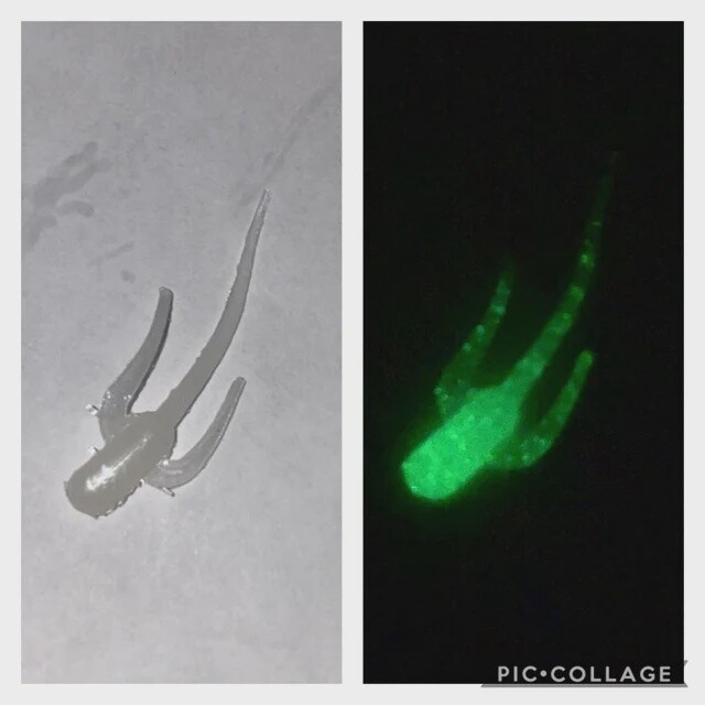 BY Waterbug Glow Green