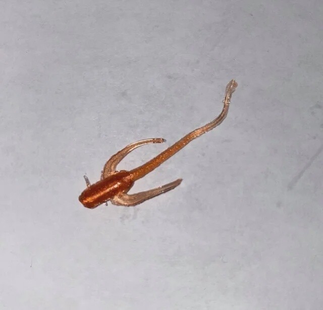 BY Waterbug Lumina Copper