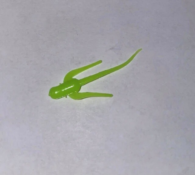 BY Waterbug UV Fluorescent Green