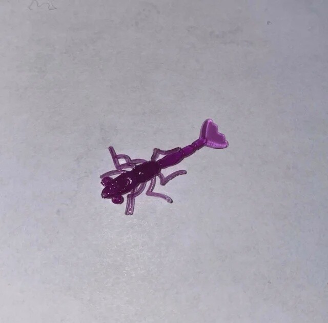 BY Freshwater Shrimp Purple