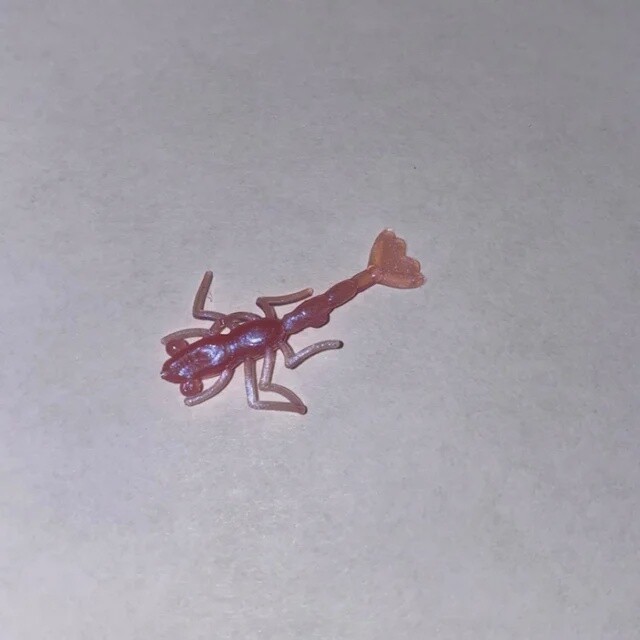 BY Freshwater Shrimp Pink Pearl